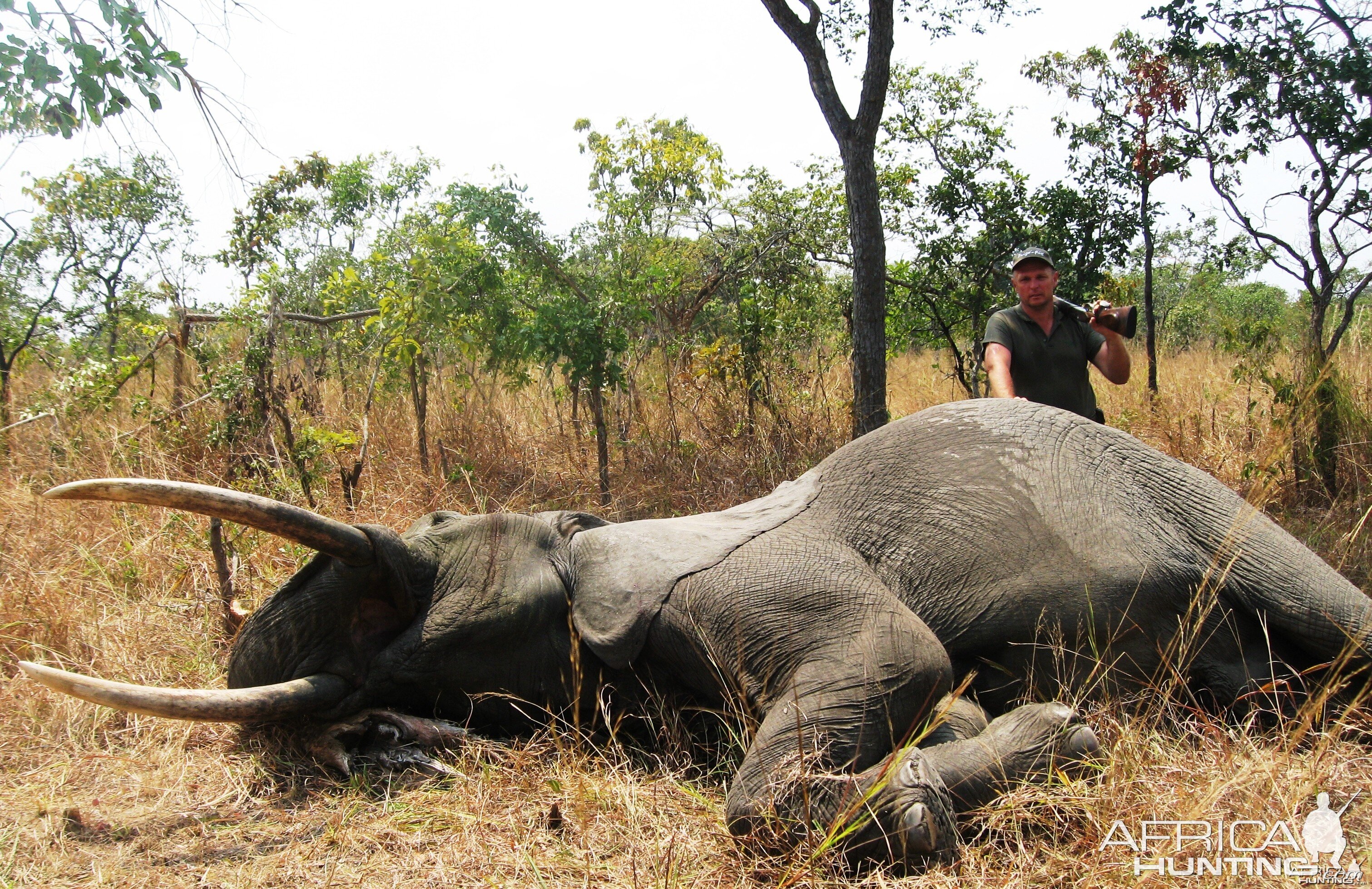 Hunting Elephant in Tanzania