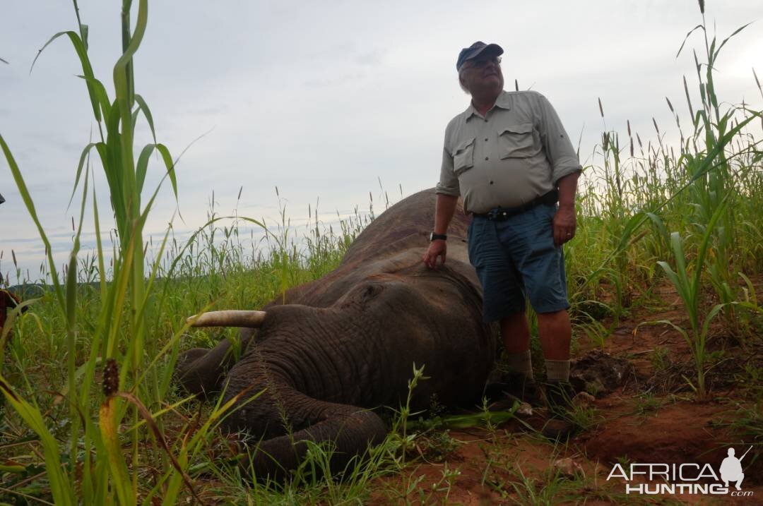 Hunting Elephant in Zimbabwe