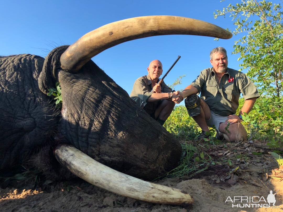 Hunting Elephant in Zimbabwe