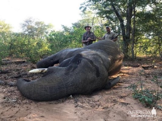 Hunting Elephant in Zimbabwe