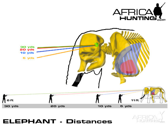 Hunting Elephant Shot Placement