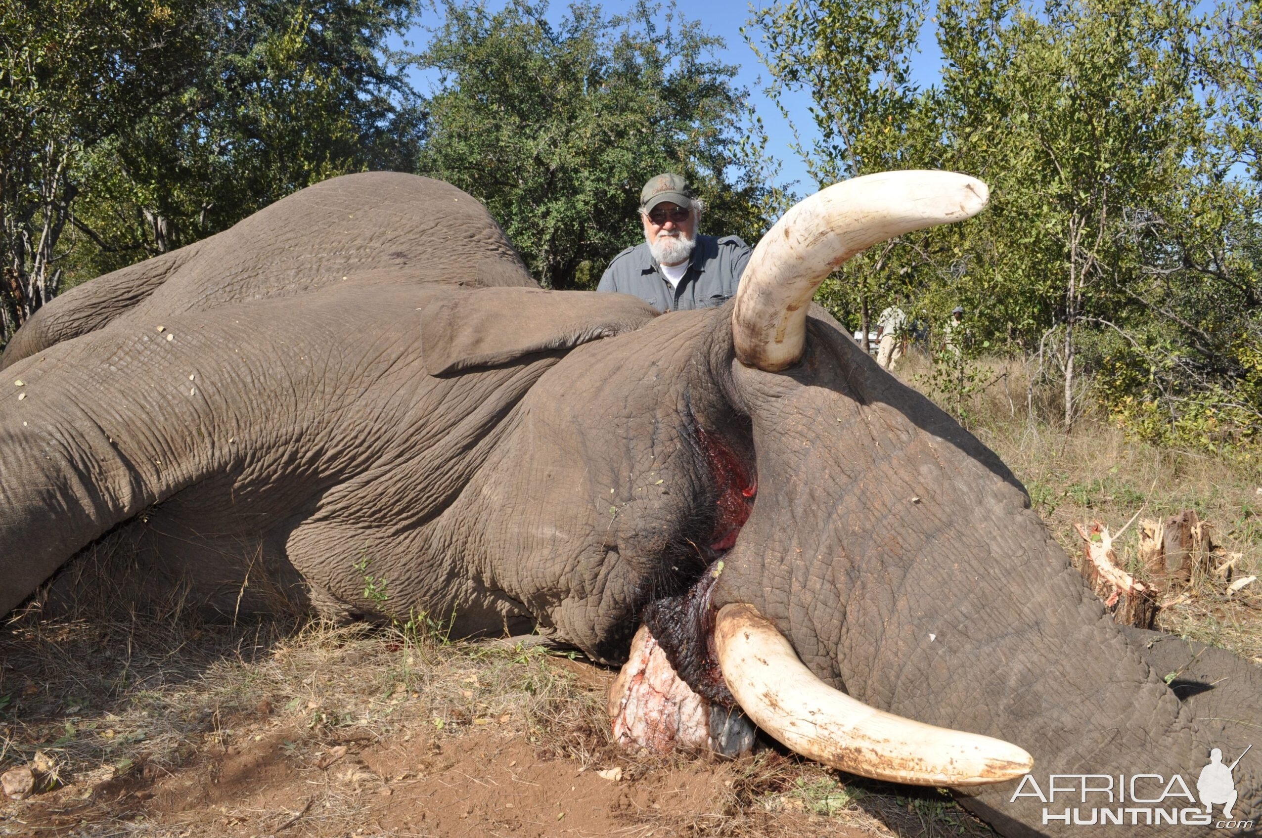 Hunting Elephant with Wintershoek Johnny Vivier Safaris in SA