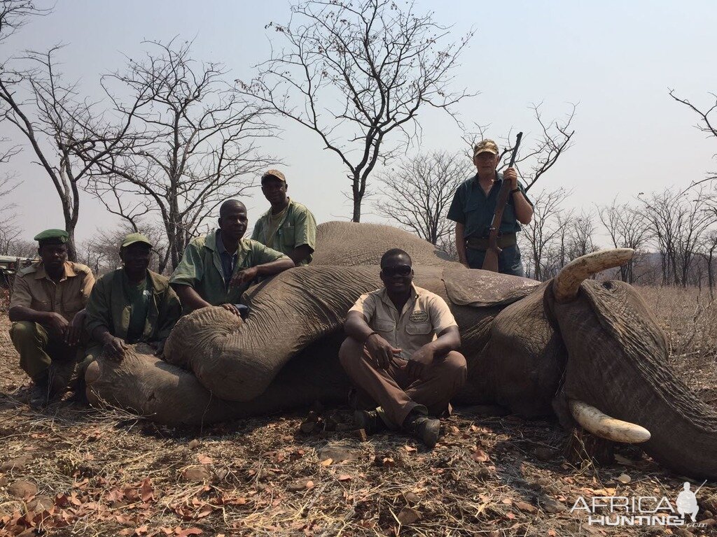 Hunting Elephant Zimbabwe