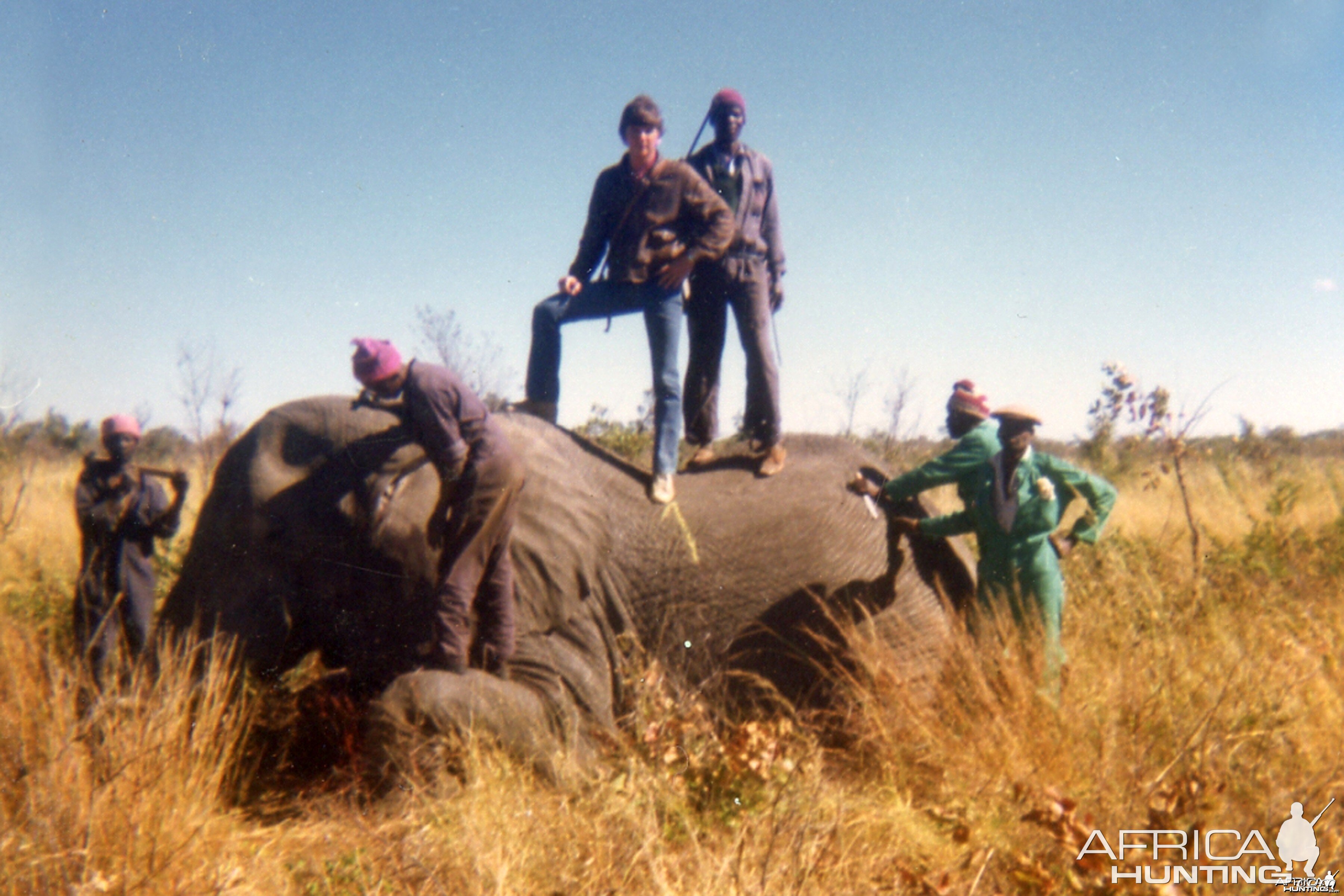 Hunting Elephant | AfricaHunting.com