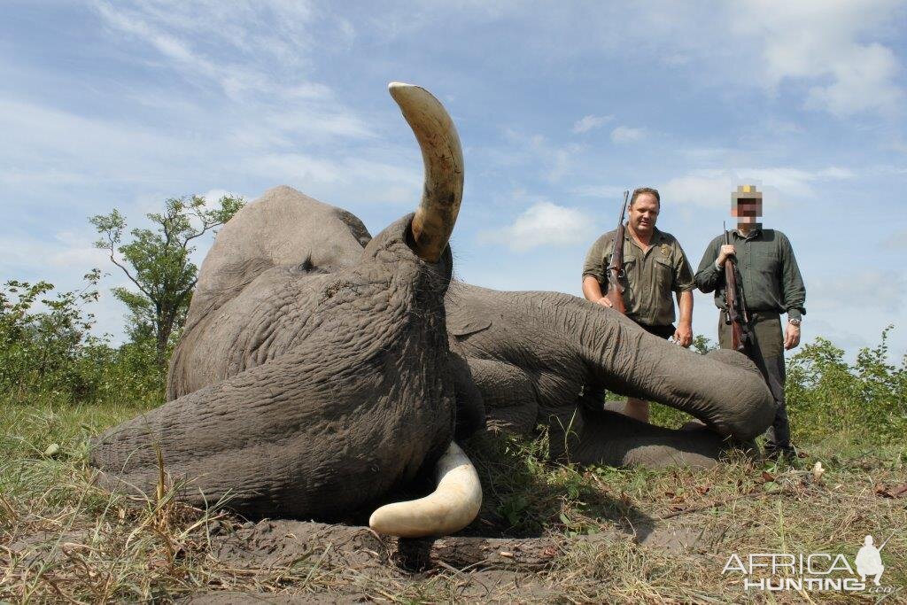 Hunting Elephant | AfricaHunting.com