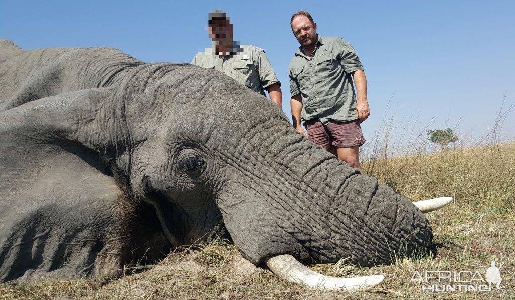 Hunting Elephant | AfricaHunting.com