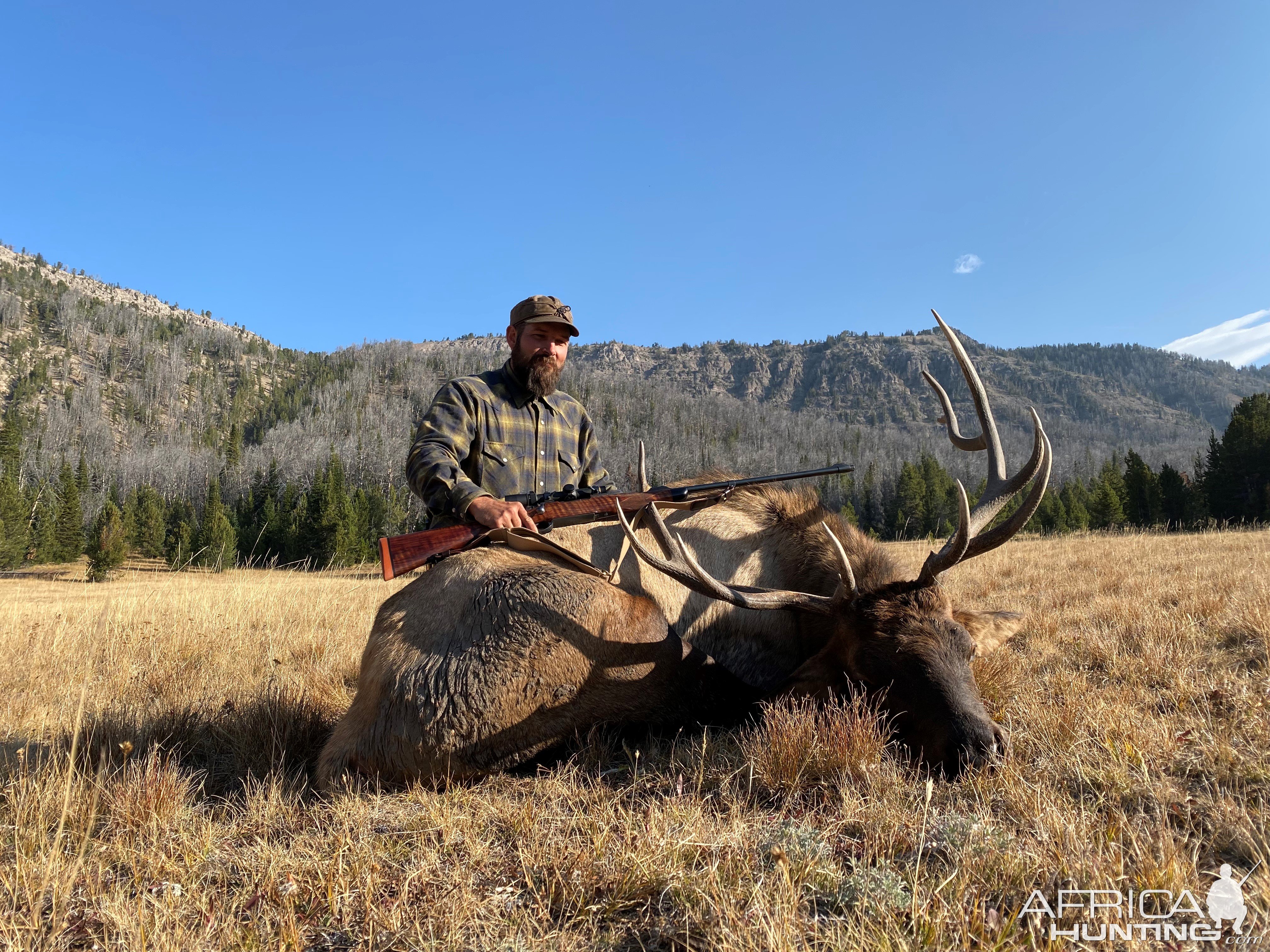 Hunting Elk Teton Wilderness Wyoming