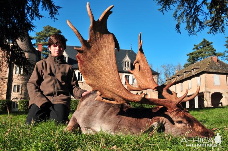 Hunting Fallow Deer France