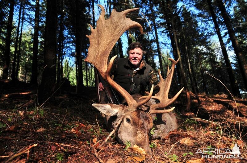 Hunting Fallow Deer France