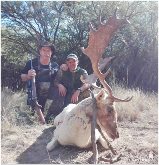 Hunting Fallow Deer in Argentina