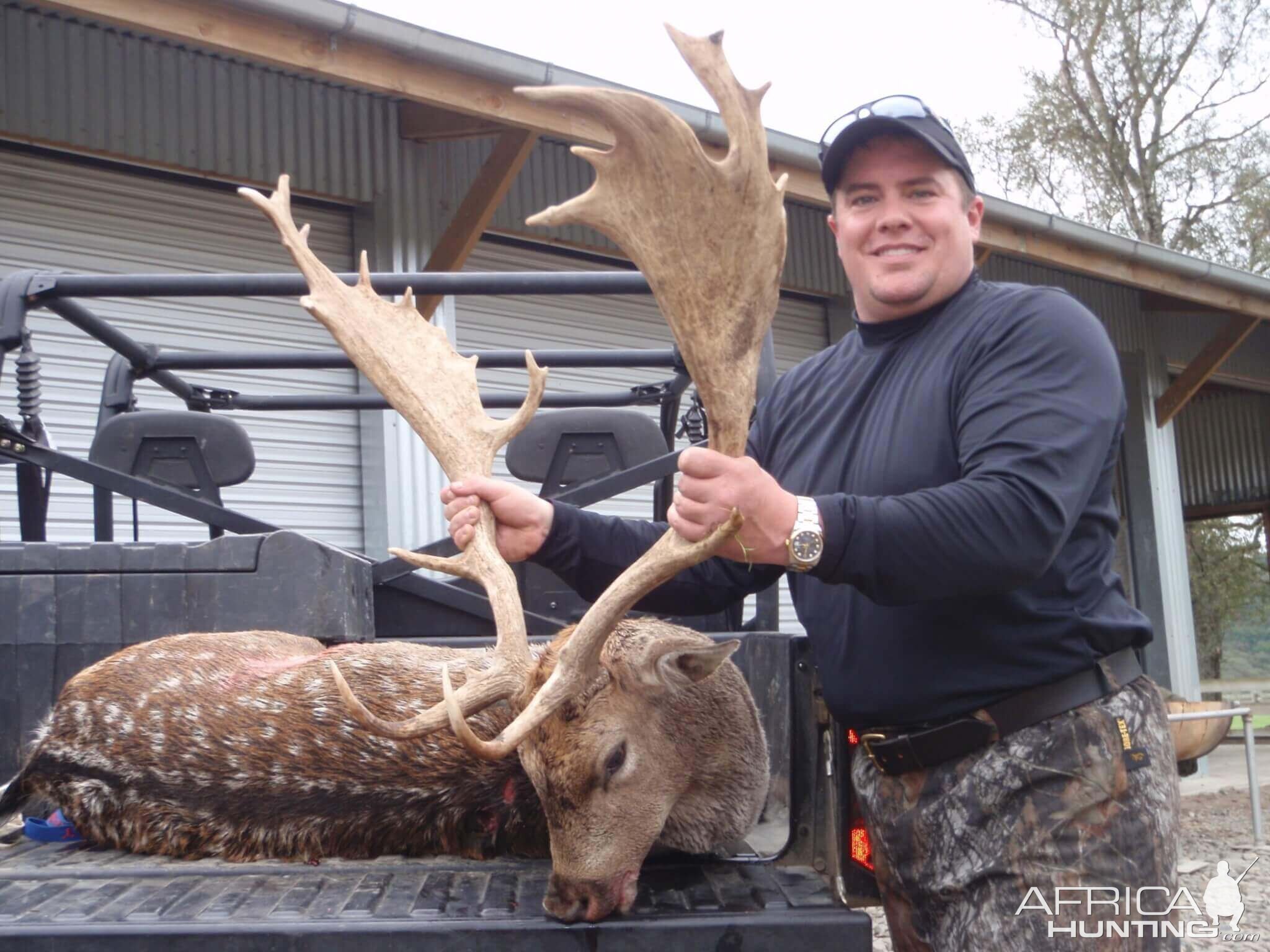 Hunting Fallow Deer in New Zealand