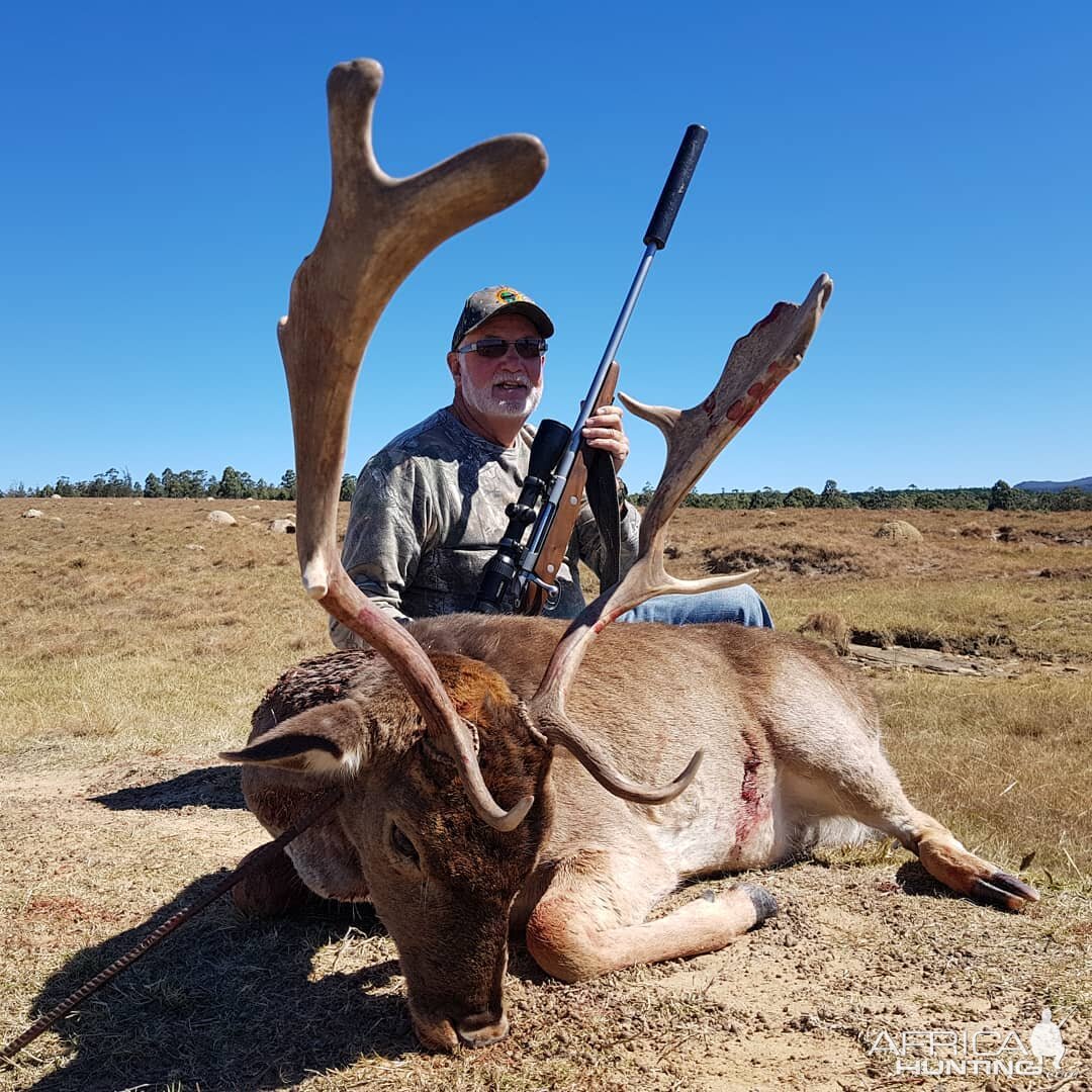 Hunting Fallow Deer in South Africa