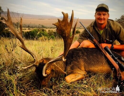 Hunting Fallow Deer in South Africa