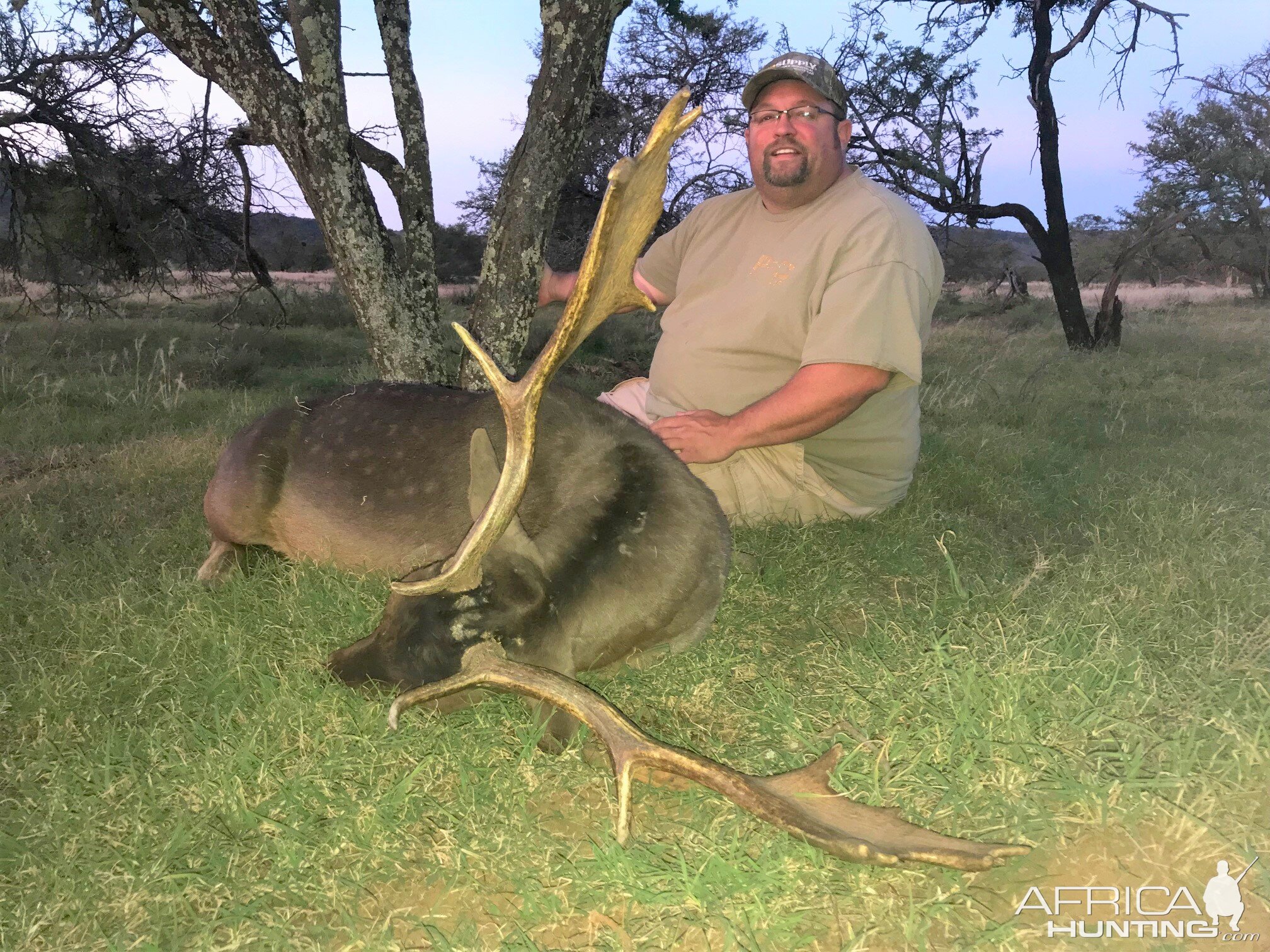 Hunting Fallow Deer in South Africa