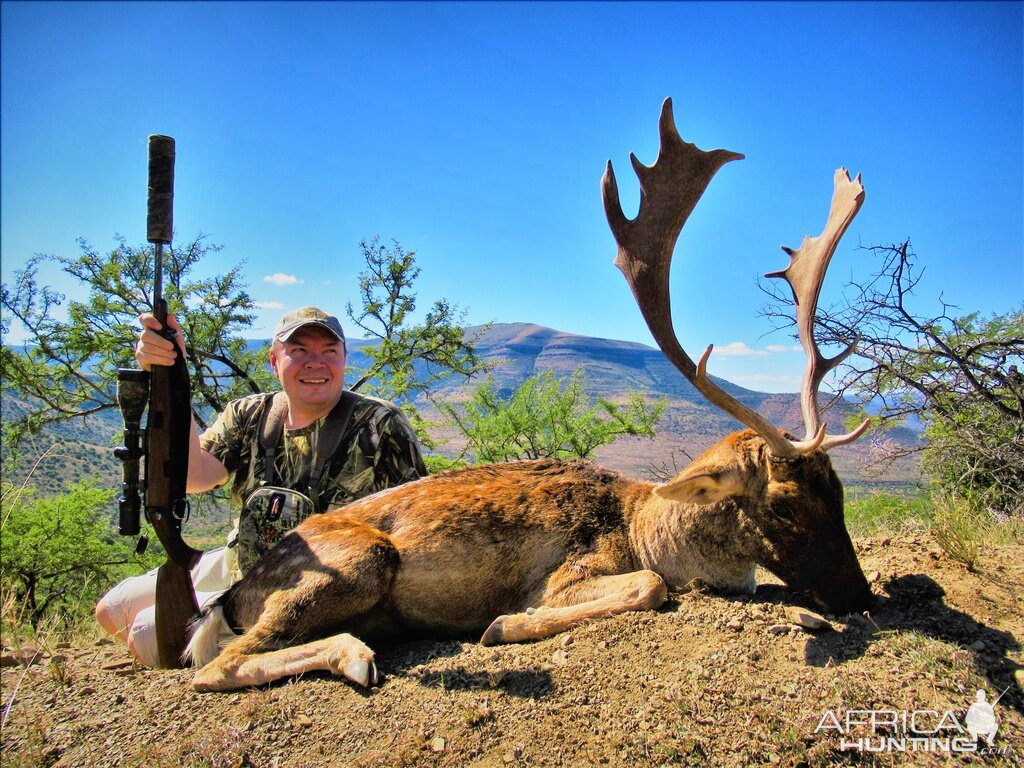 Hunting Fallow Deer South Africa