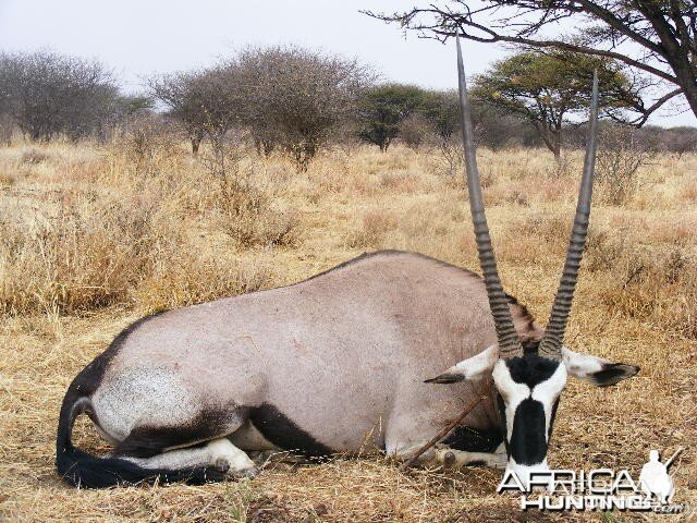 Hunting Gemsbok in Namibia