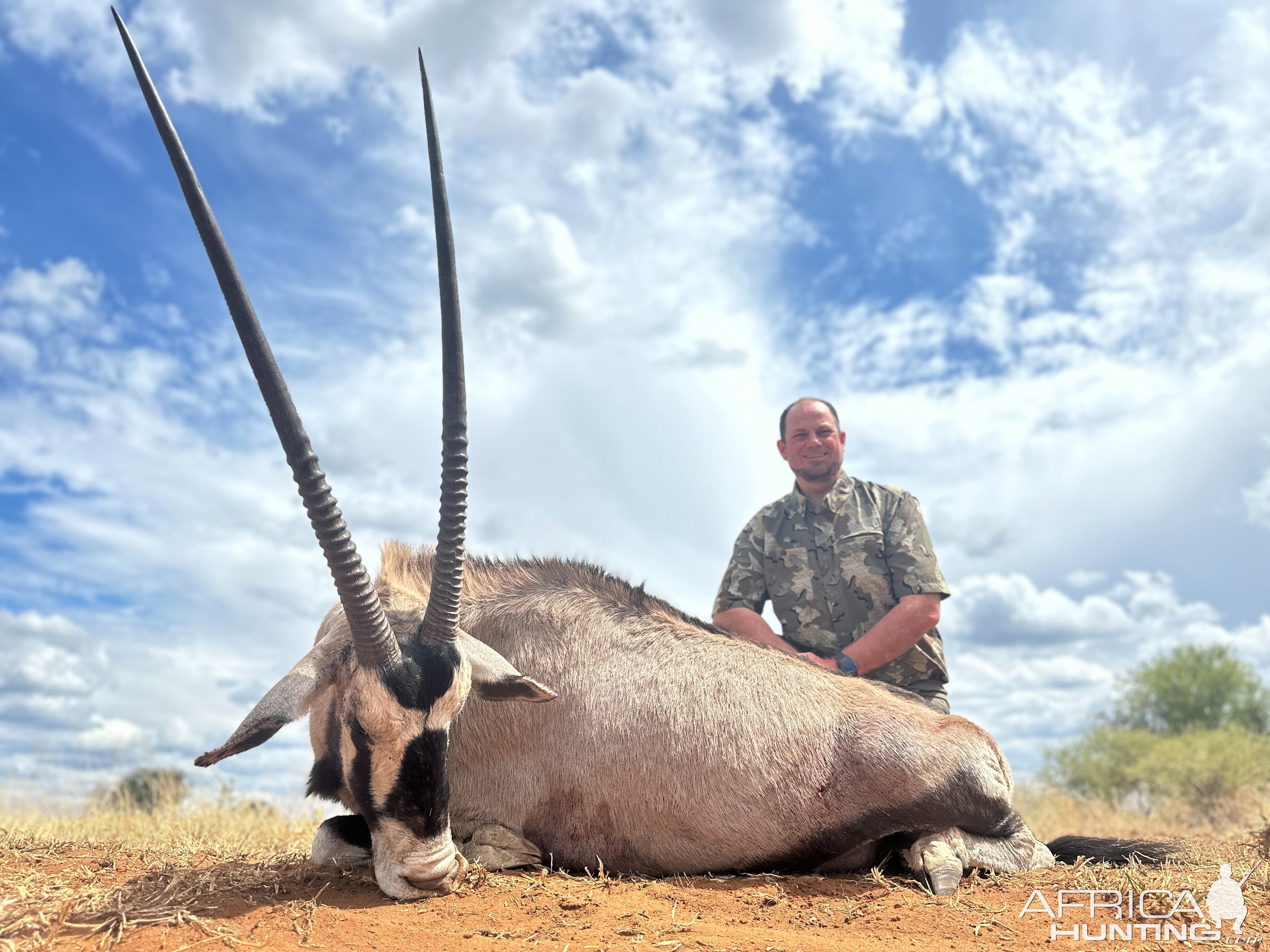 Hunting Gemsbok