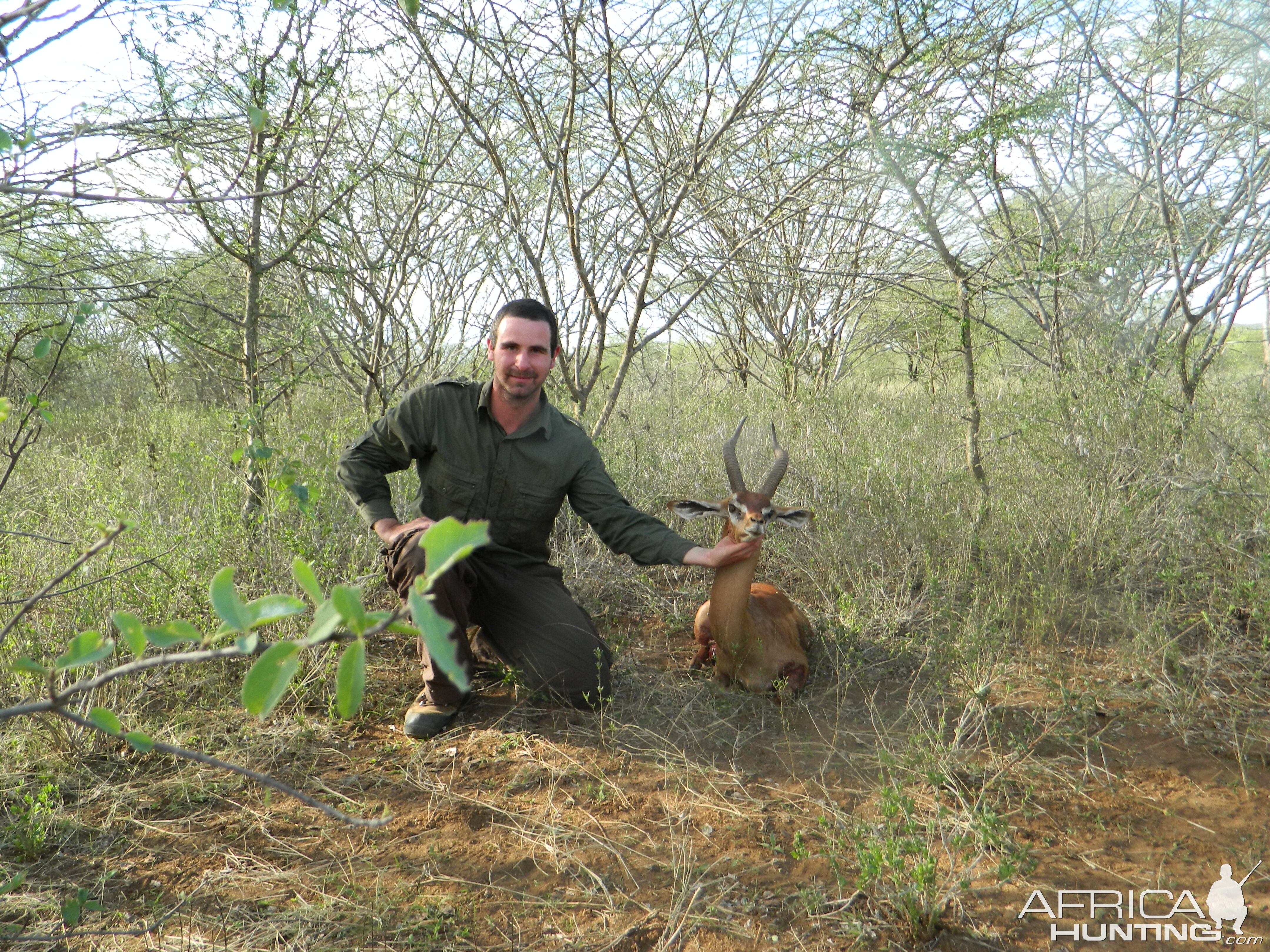 Hunting Gerenuk Masailand