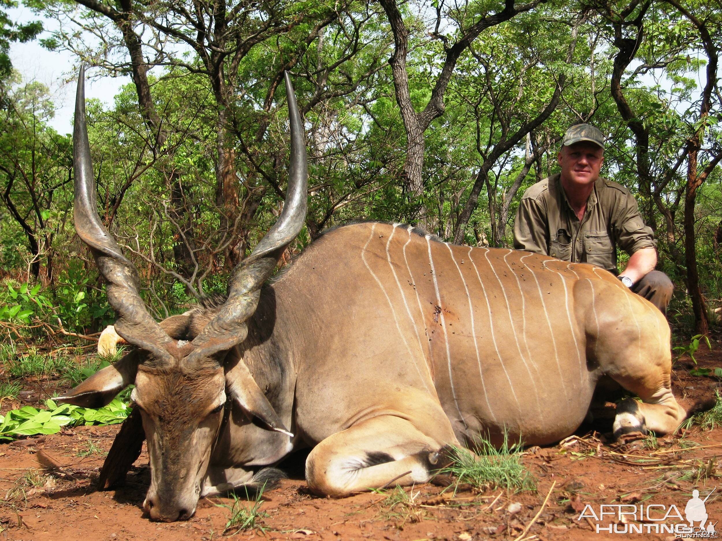 Hunting Giant Eland in CAR