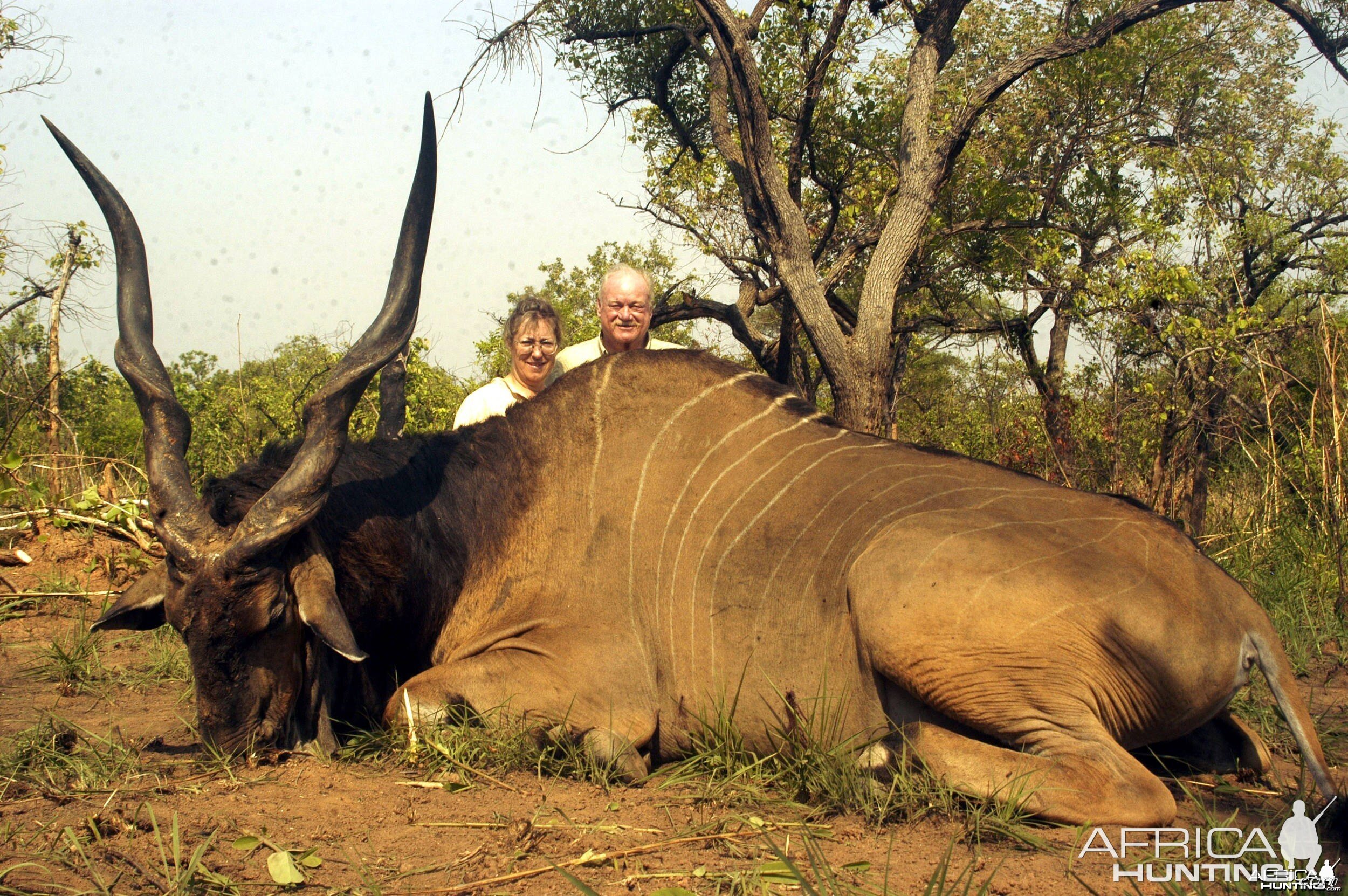 Hunting Giant Eland in CAR