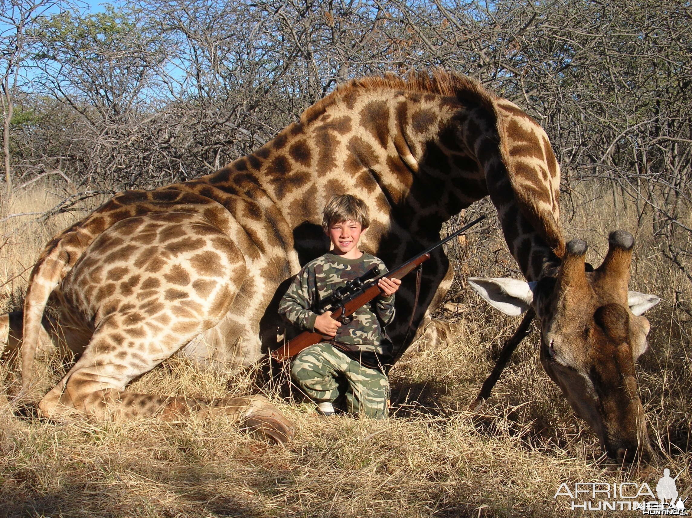 Hunting Giraffe in Namibia