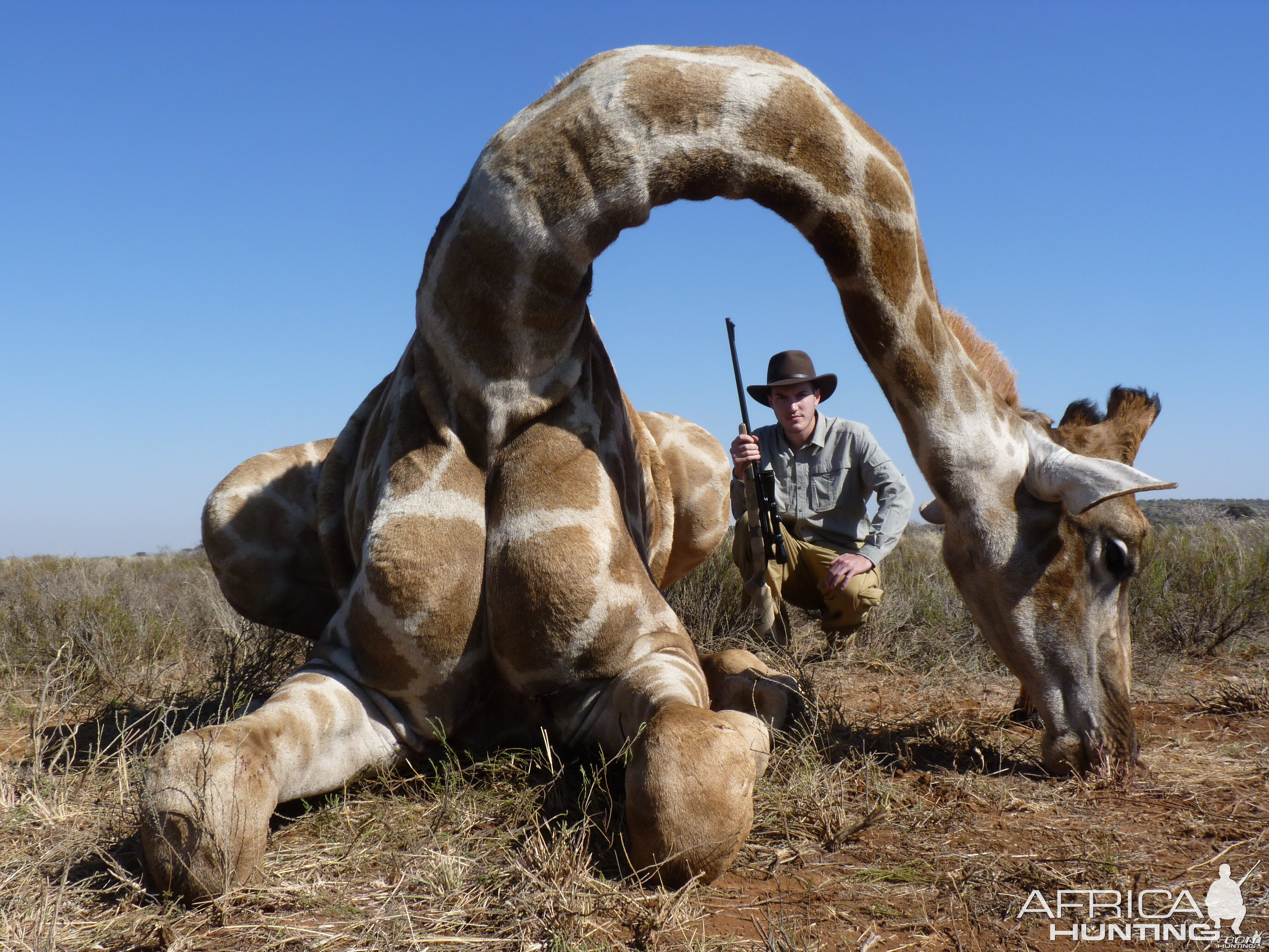 Hunting Giraffe in Namibia