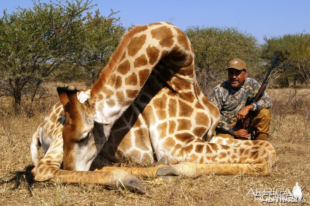 Hunting Giraffe in South Africa with Dalerwa Ventures for Wildlife