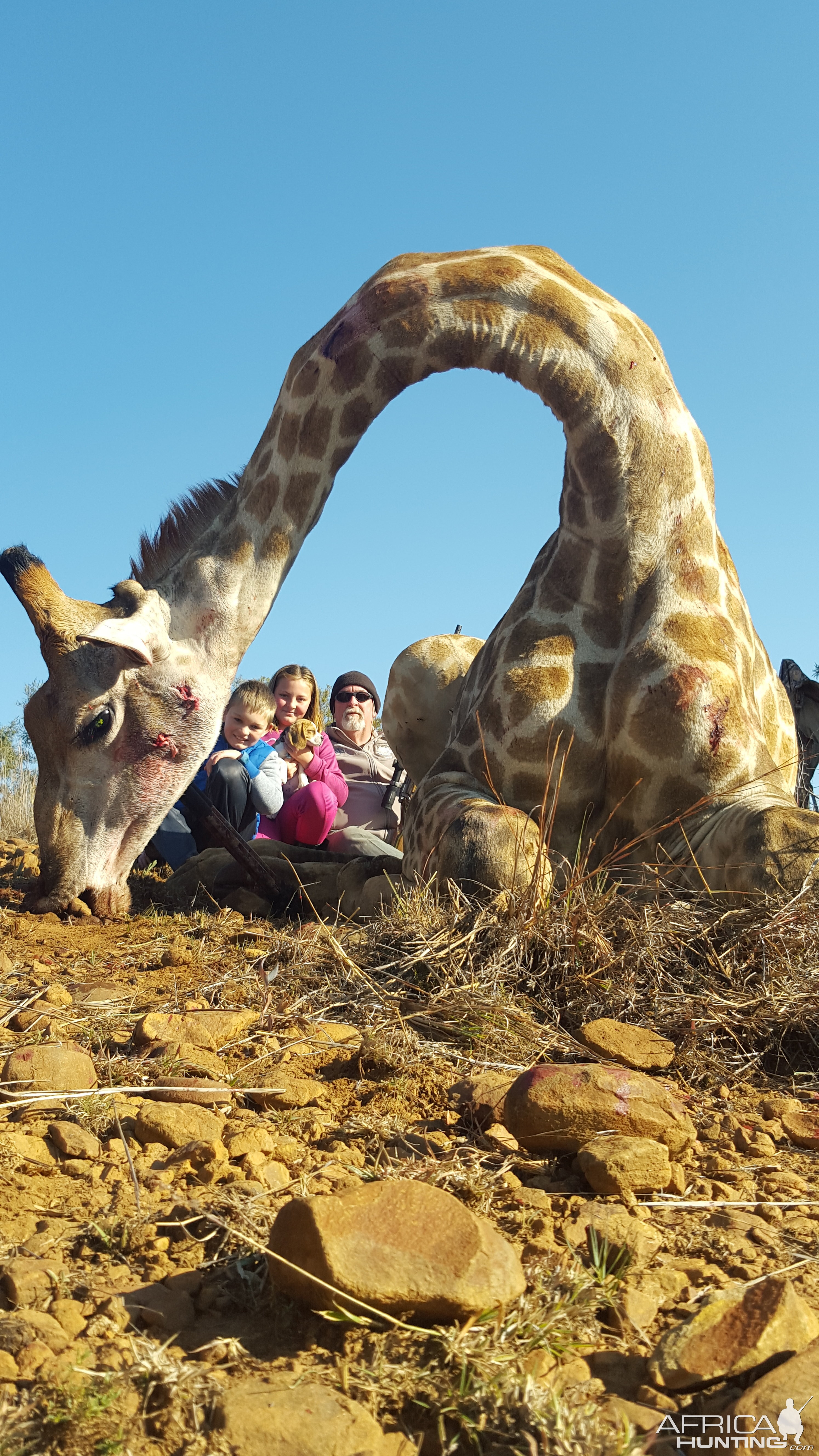 Hunting Giraffe in South Africa