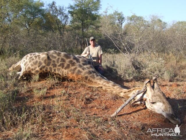 Hunting Giraffe in South Africa