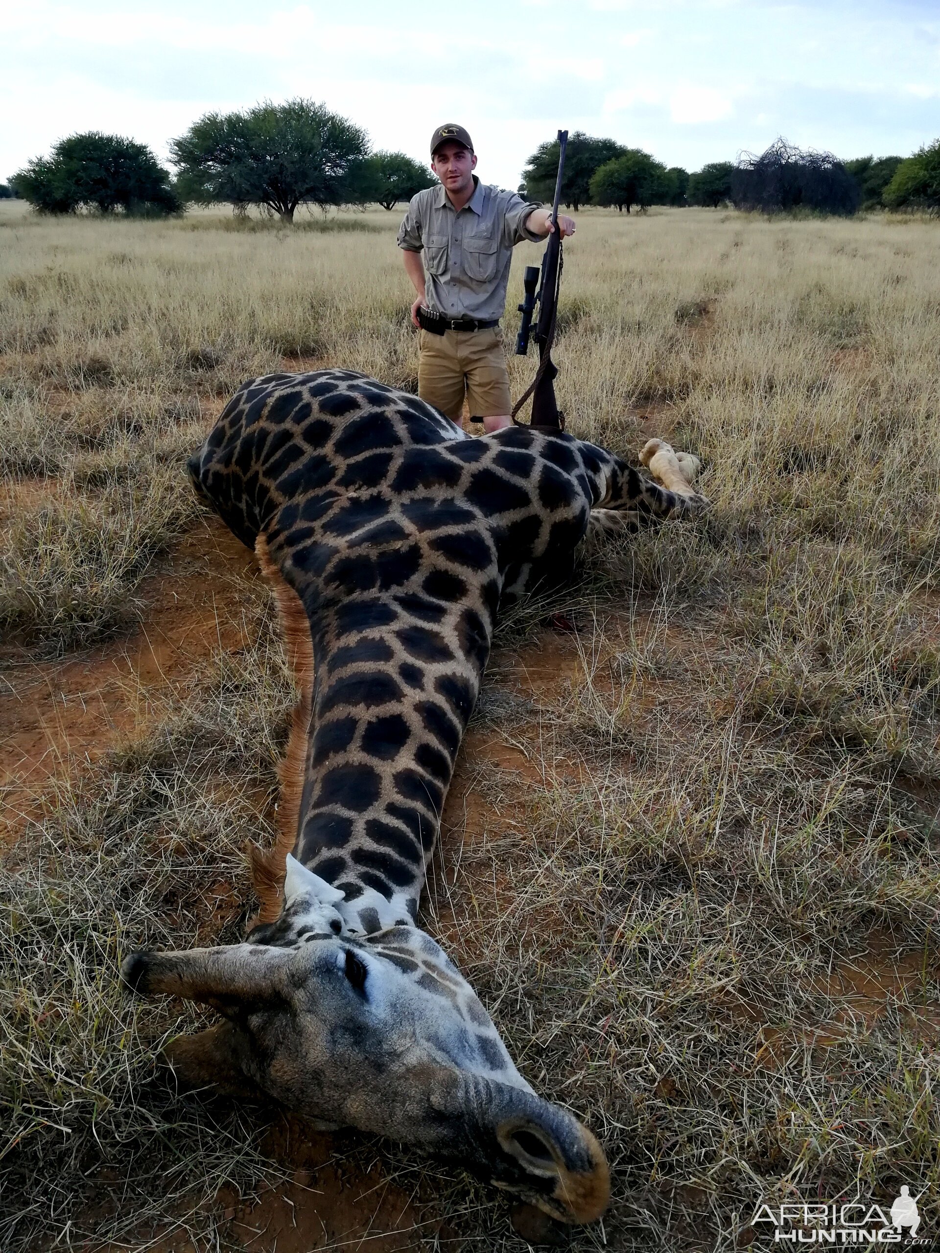 Hunting Giraffe in South Africa