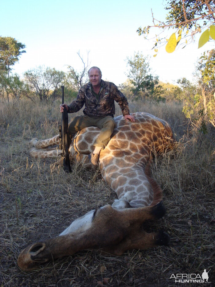 Hunting Giraffe in Zimbabwe