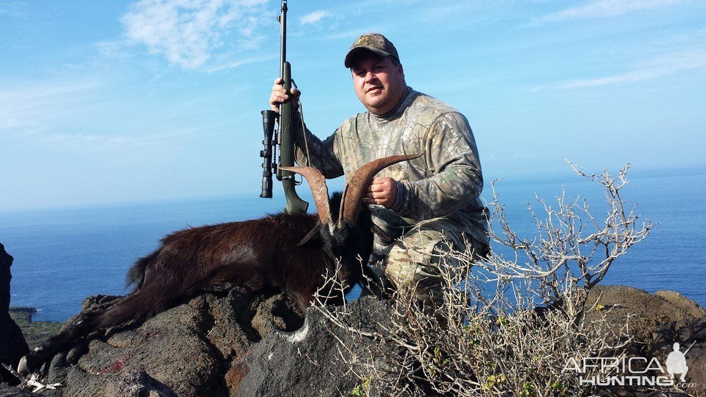 Hunting Goat Big Island Hawaii | AfricaHunting.com