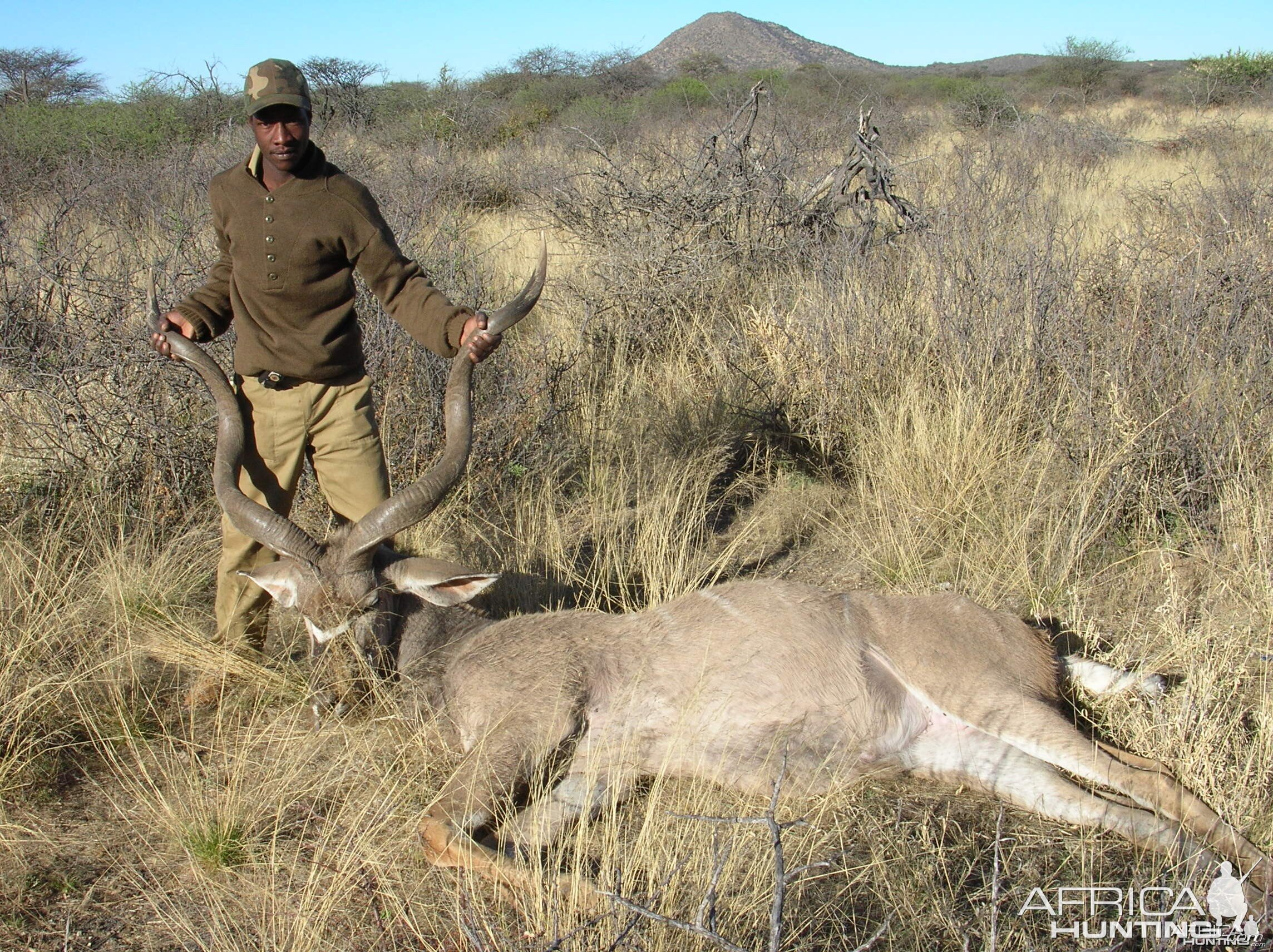 Hunting Greater Kudu in Namibia