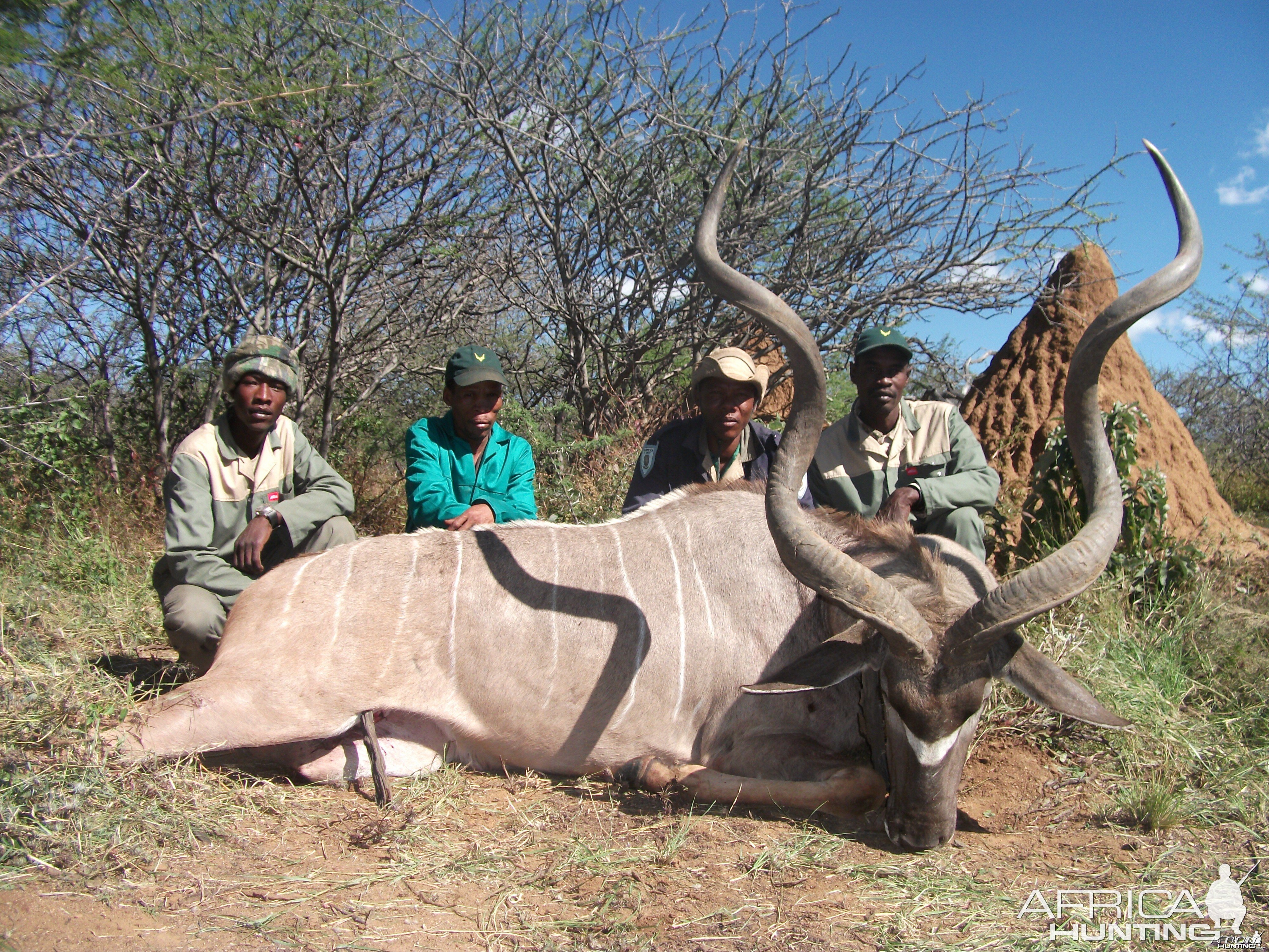 Hunting Greater Kudu in Namibia