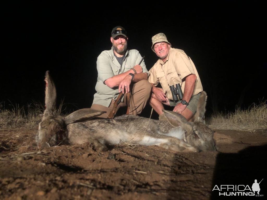 Hunting Hare South Africa