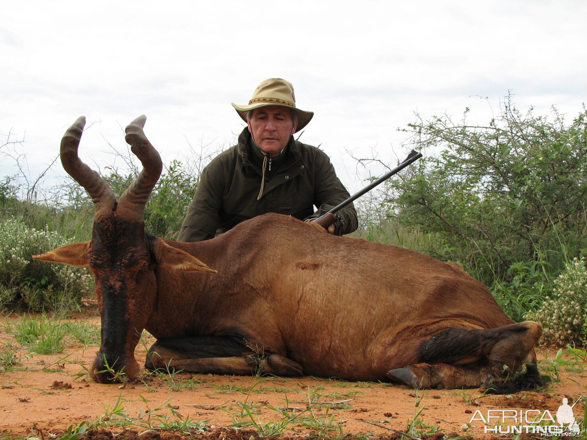 Hunting Hartebeest in Namibia