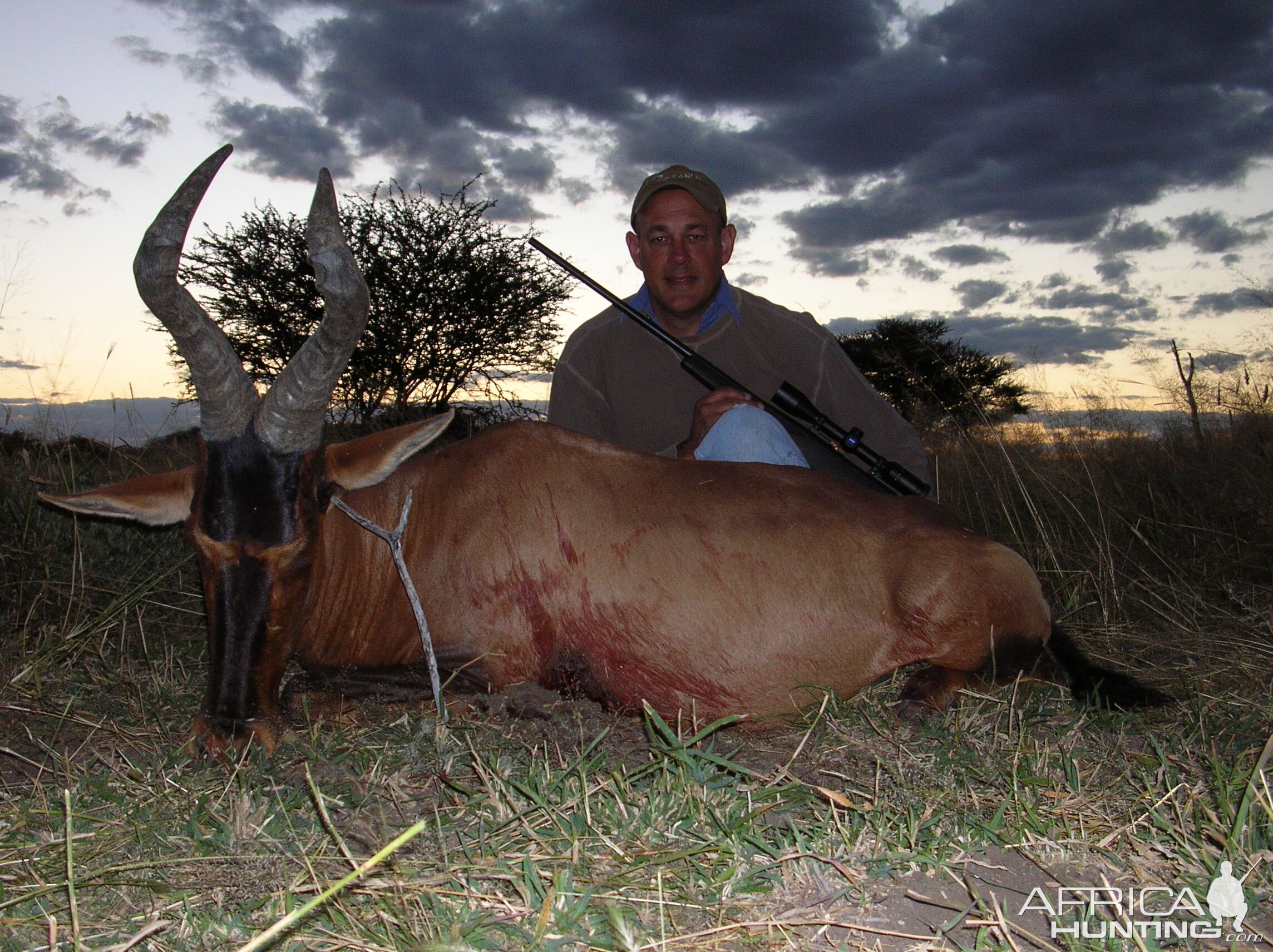 Hunting Hartebeest in Namibia