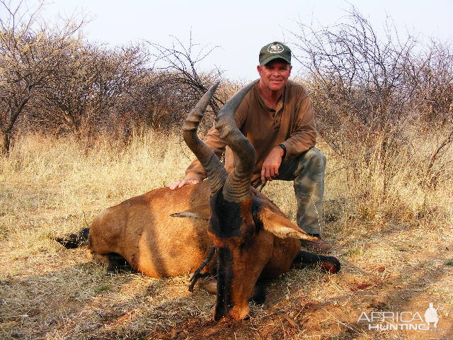 Hunting Hartebeest in Namibia