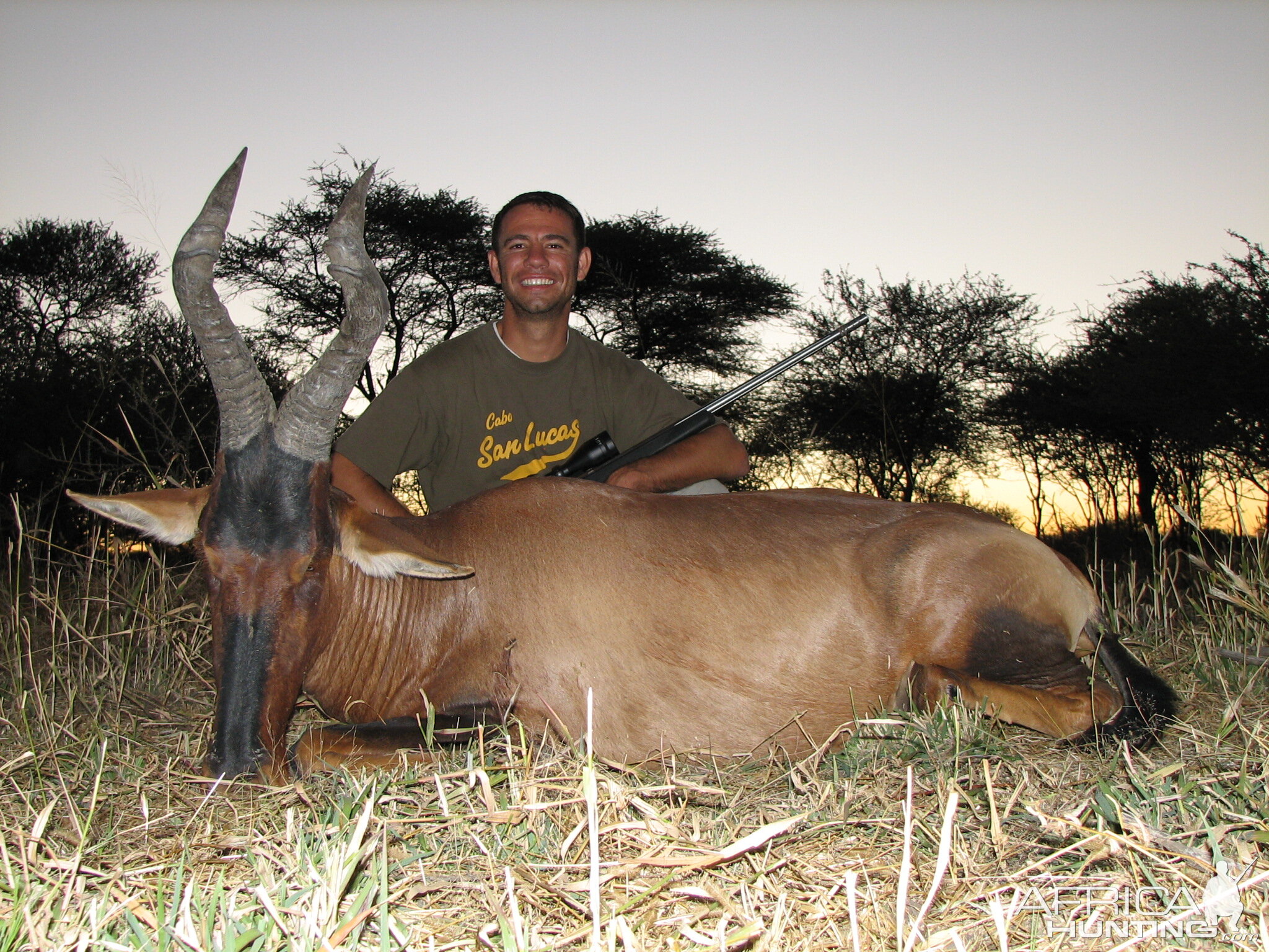 Hunting Hartebeest in Namibia