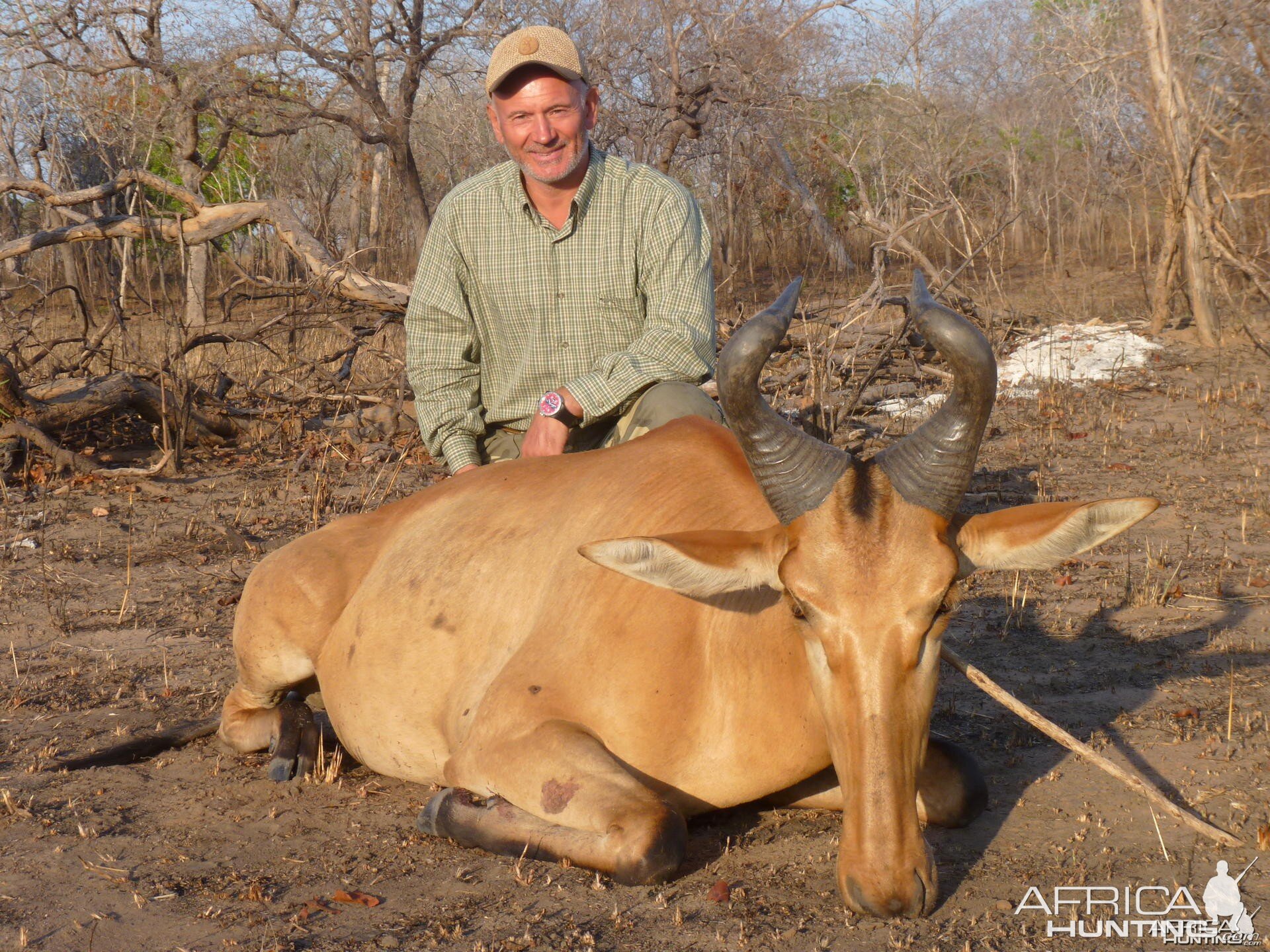 Hunting Hartebeest in Tanzania