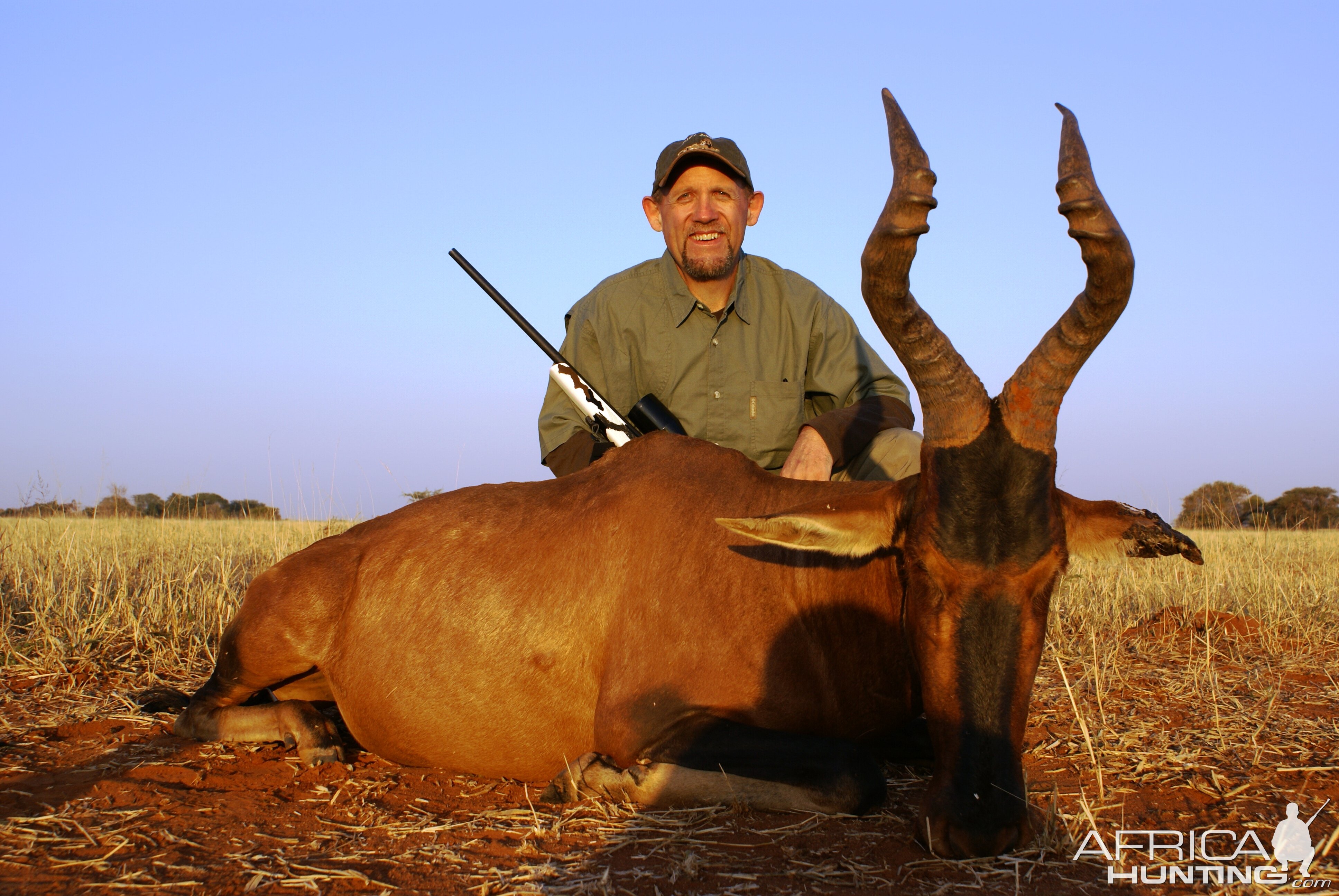 Hunting Hartebeest