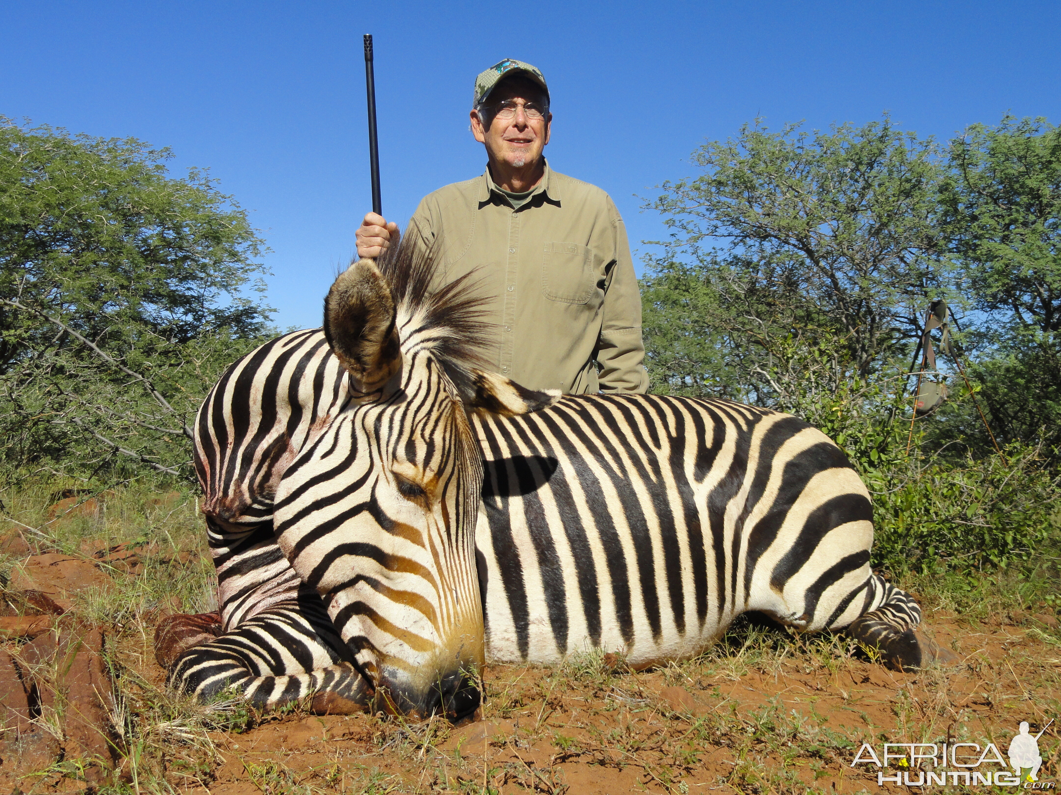 Hunting Hartmann Mountain Zebra Namibia