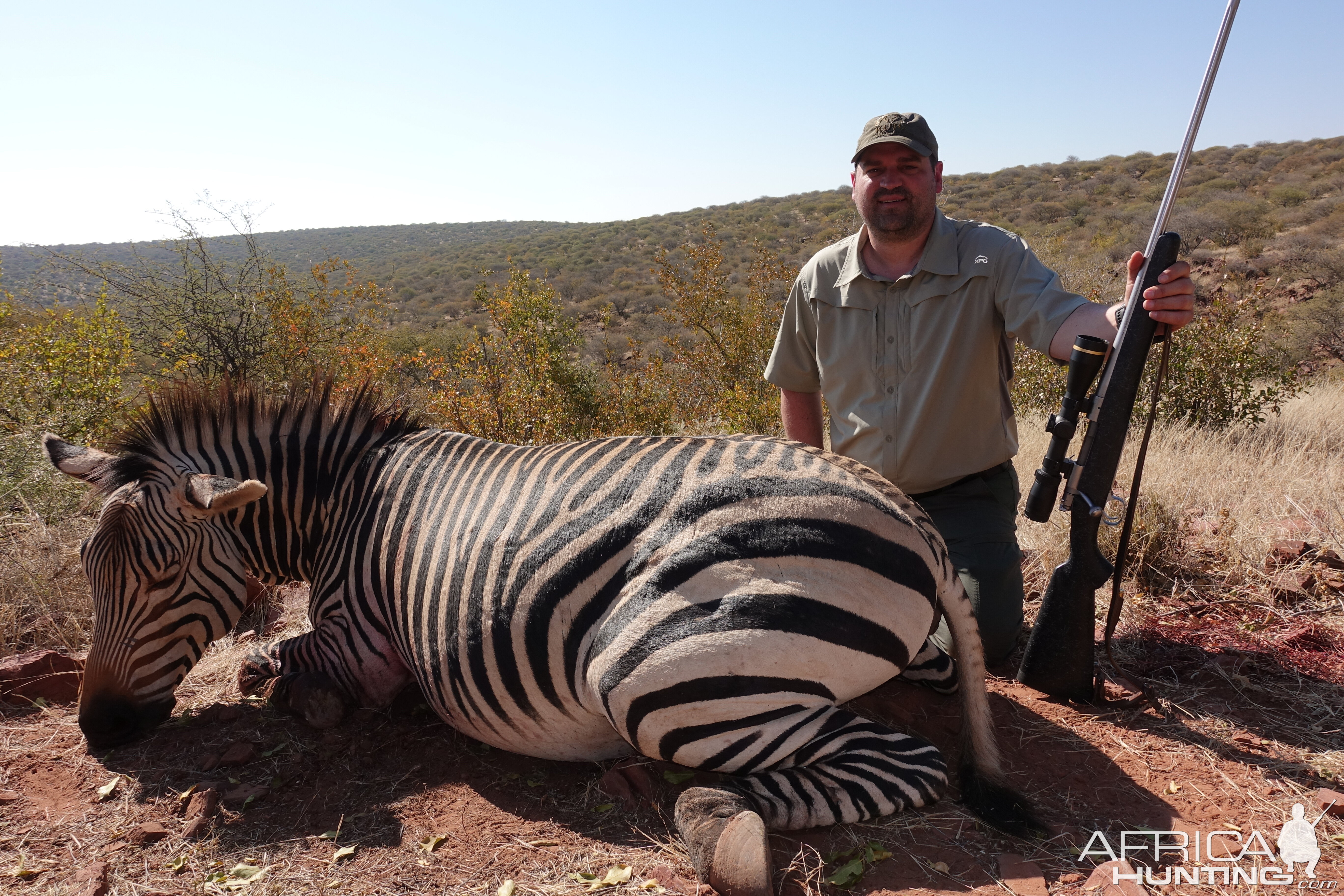 Hunting Hartmann Mountain Zebra Namibia