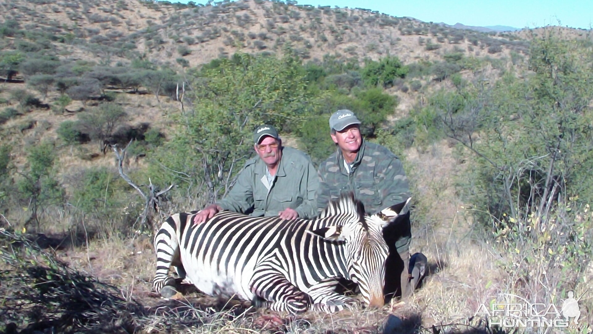 Hunting Hartmann Mountain Zebra