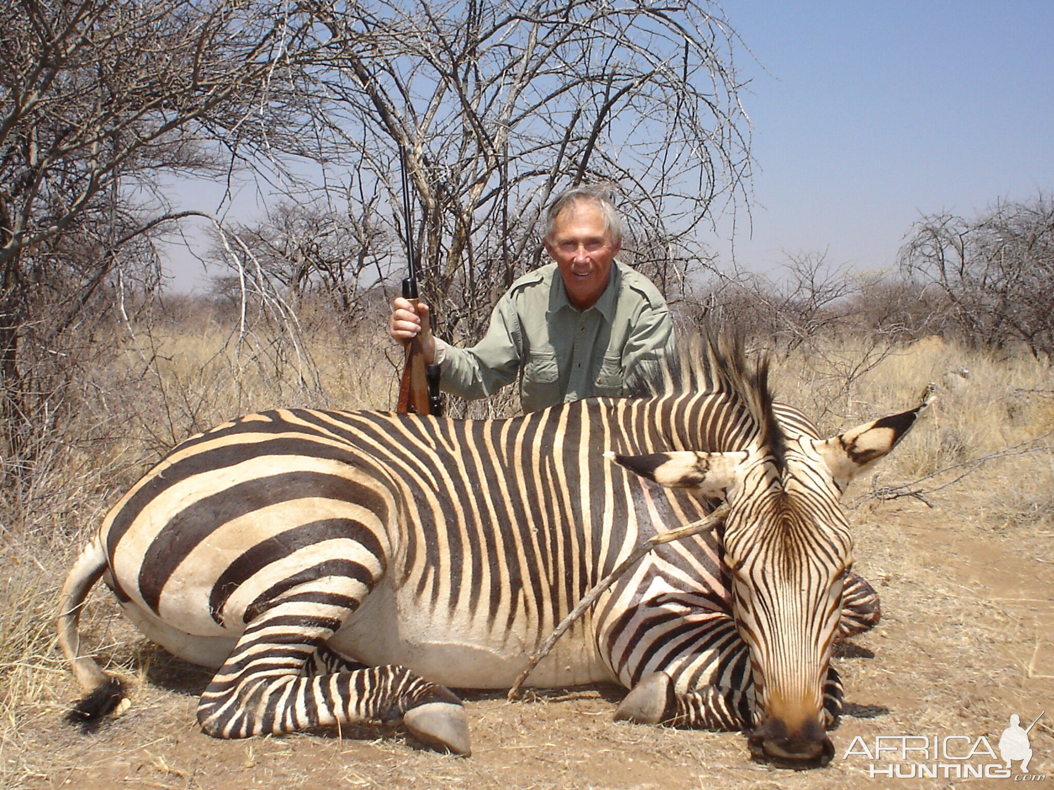 Hunting Hartmanns Mountain Zebra In Namibia