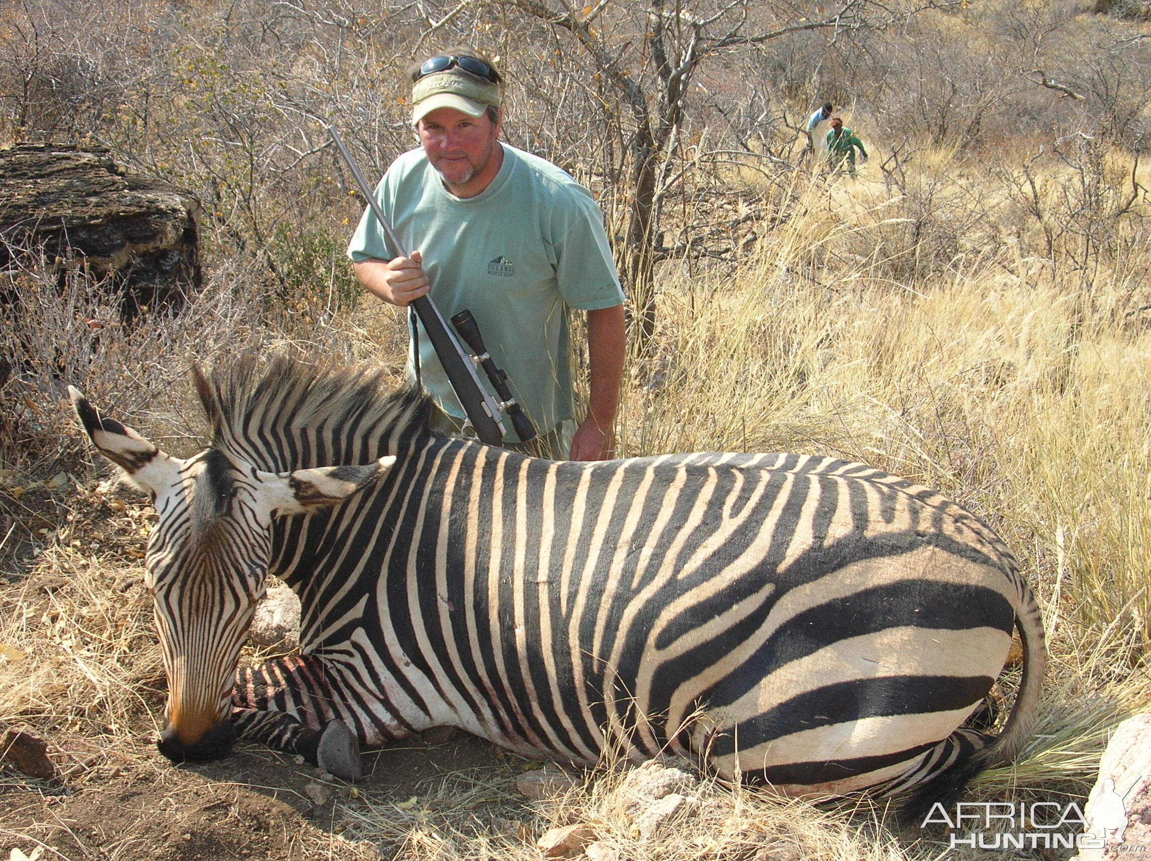 Hunting Hartmann's Mountain Zebra in Namibia