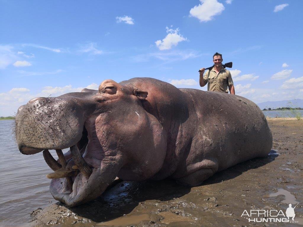 Hunting Hippo in Mozambique