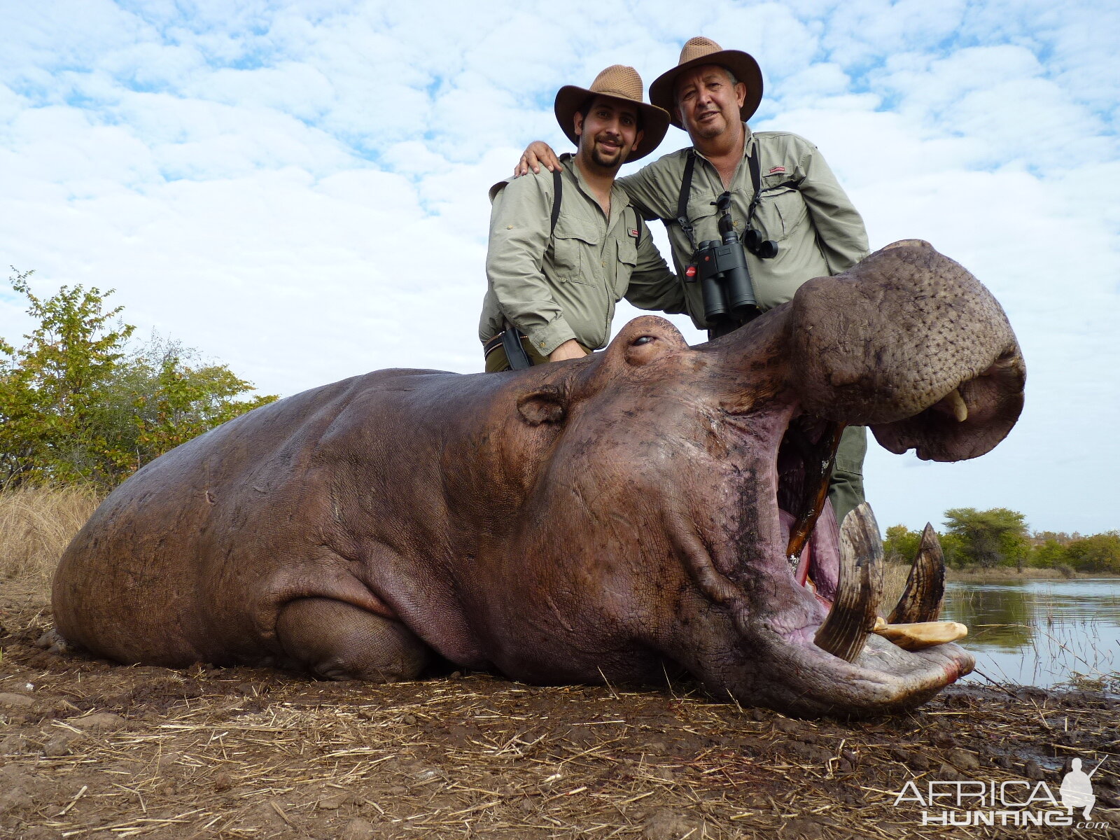 Hunting Hippo with Wintershoek Johnny Vivier Safaris in SA