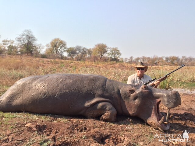 Hunting Hippo Zimbabwe