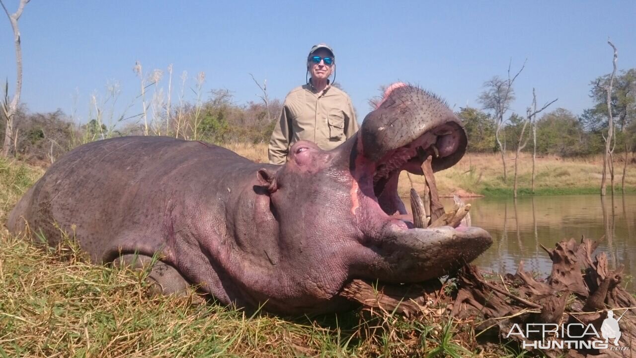 Hunting Hippo Zimbabwe